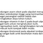 Manfaat Alpukat