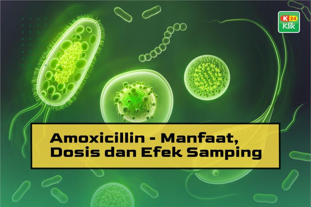Manfaat Amoxicillin