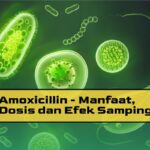 Manfaat Amoxicillin
