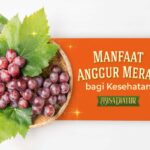 Manfaat Anggur