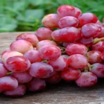 Manfaat Anggur Merah