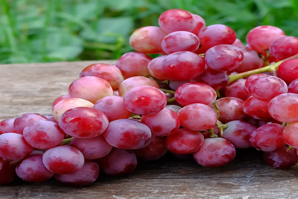 Manfaat Anggur Merah