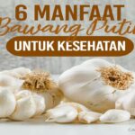 Manfaat Bawang Putih
