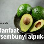 Manfaat Buah Alpukat