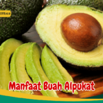Manfaat Buah Alpukat Untuk Ibu Hamil