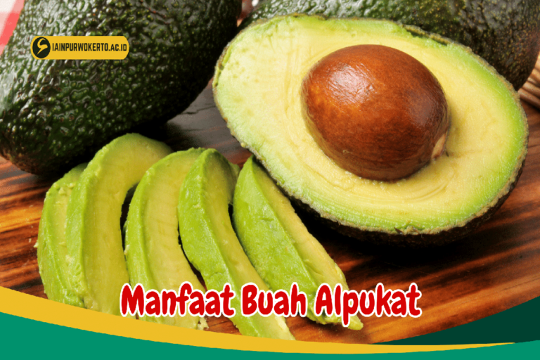 Manfaat Buah Alpukat Untuk Ibu Hamil