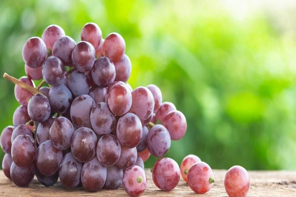Manfaat Buah Anggur Untuk Kesehatan