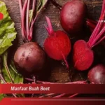 Manfaat Buah Beet