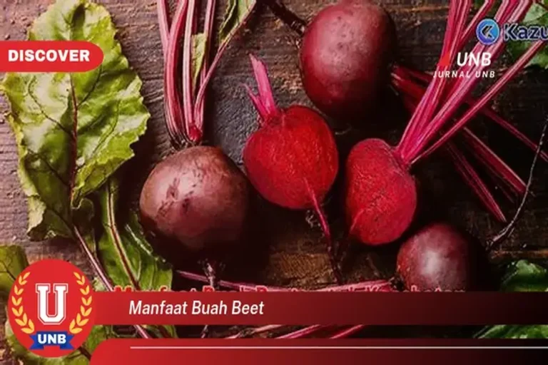 Manfaat Buah Beet