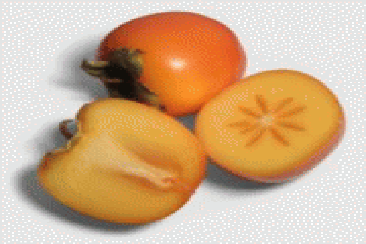 Manfaat Buah Bisbul