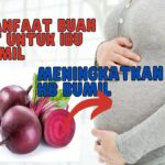 Manfaat Buah Bit Untuk Ibu Hamil