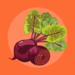 Manfaat Buah Bit Untuk Kesehatan