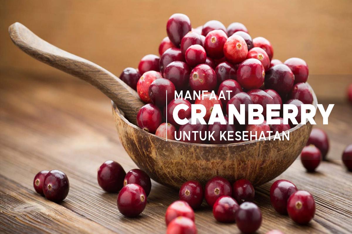 Manfaat Buah Cranberry