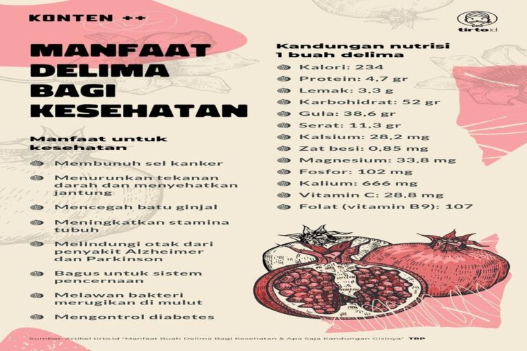 Manfaat Buah Delima