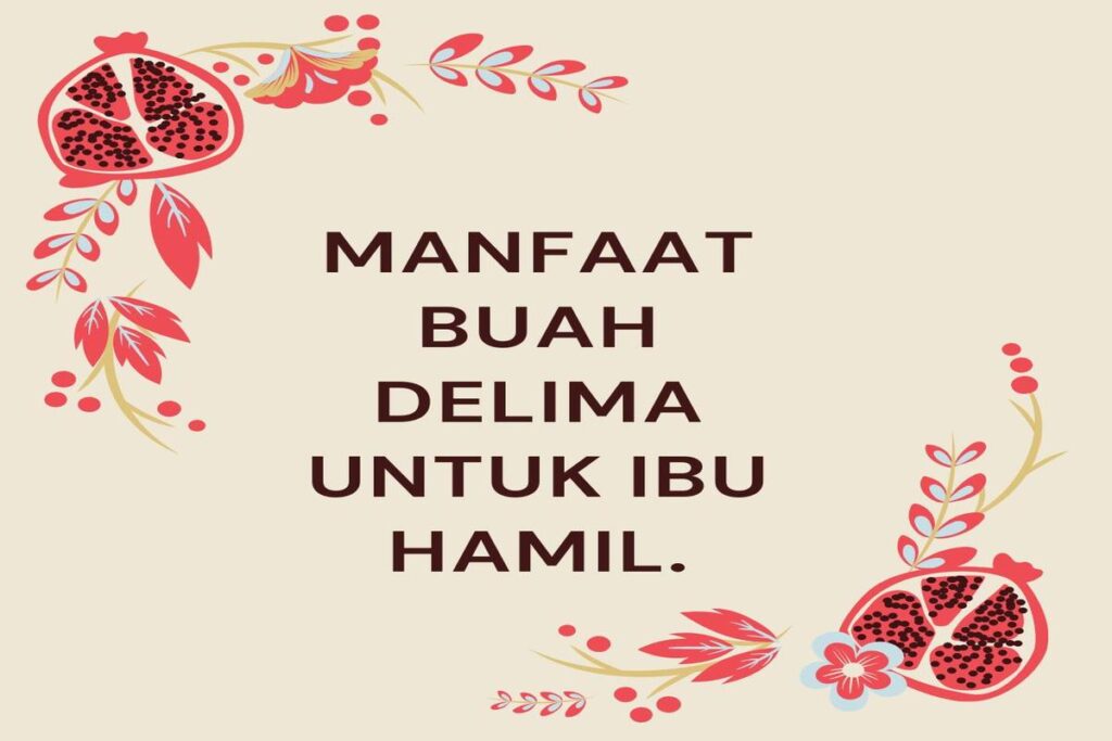 Manfaat Buah Delima Untuk Ibu Hamil