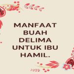 Manfaat Buah Delima Untuk Ibu Hamil