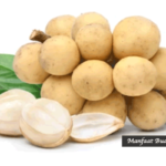 Manfaat Buah Duku