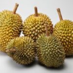 Manfaat Buah Durian