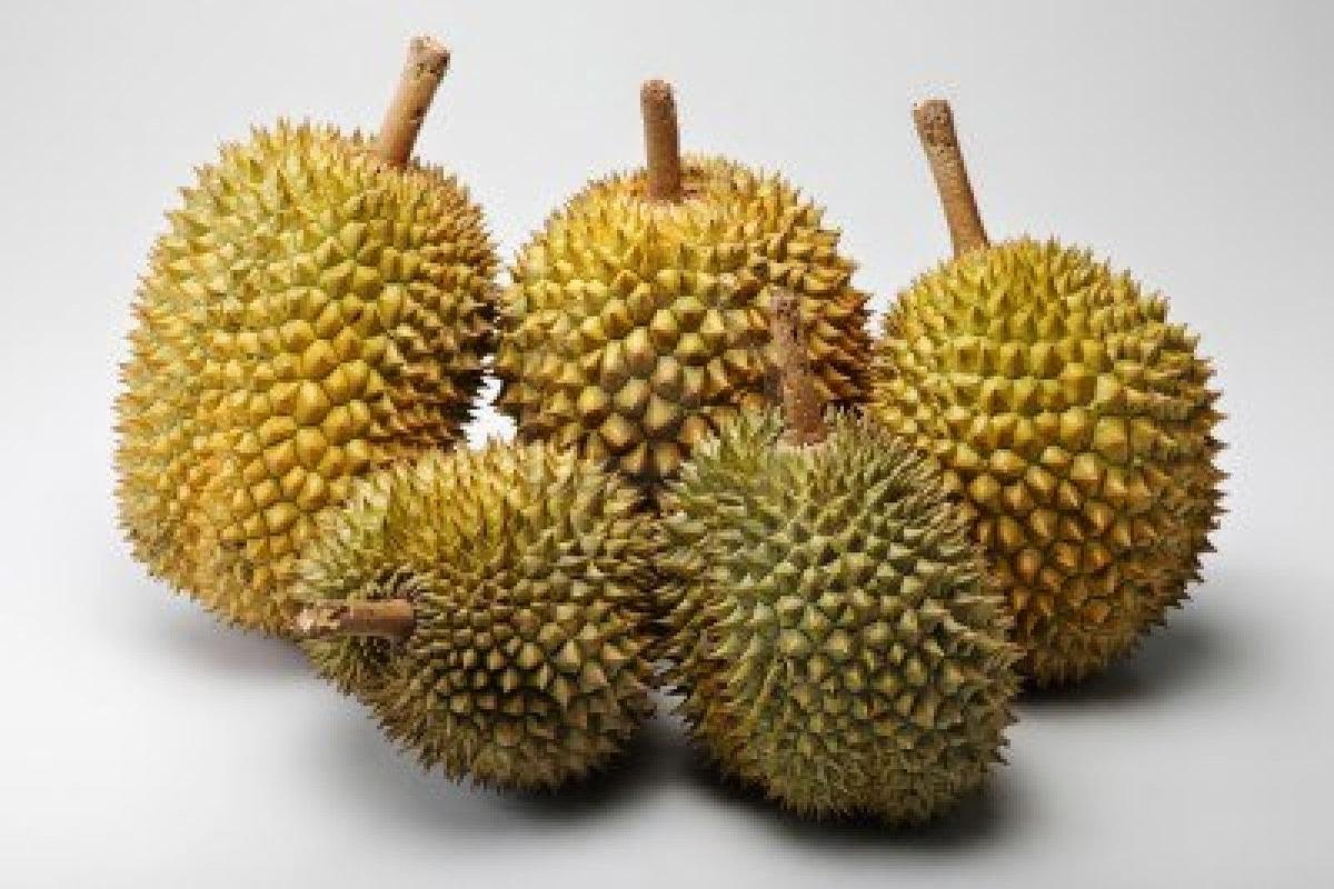 Manfaat Buah Durian