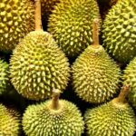 Manfaat Buah Durian Untuk Kesehatan