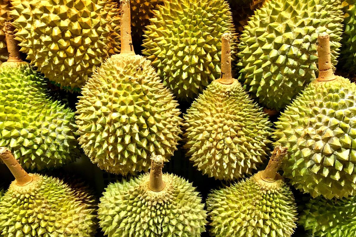 Manfaat Buah Durian Untuk Kesehatan