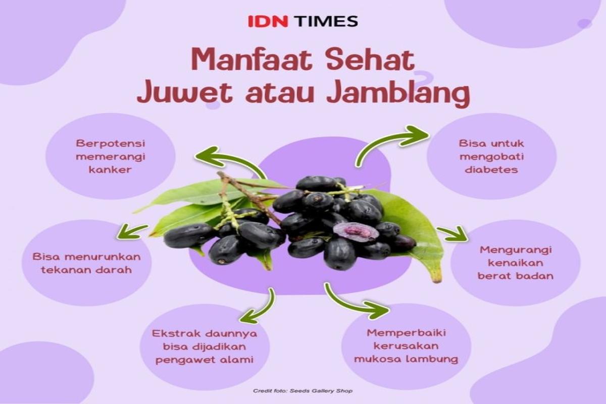 Manfaat Buah Duwet