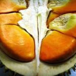 Manfaat Buah Elai