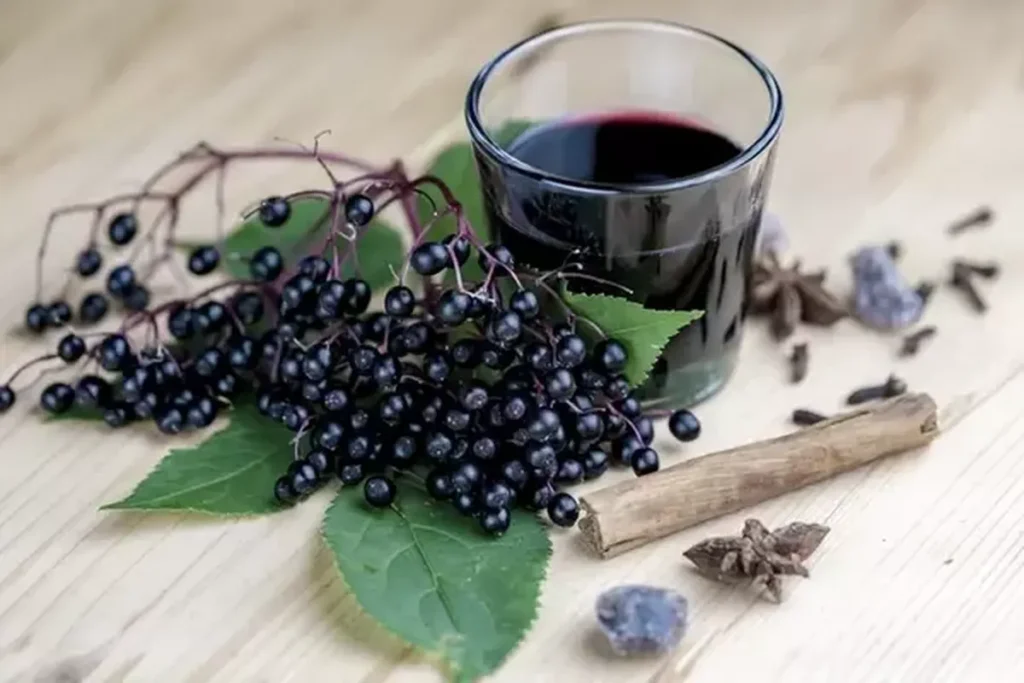 Manfaat Buah Elderberry