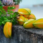 Manfaat Buah Embem