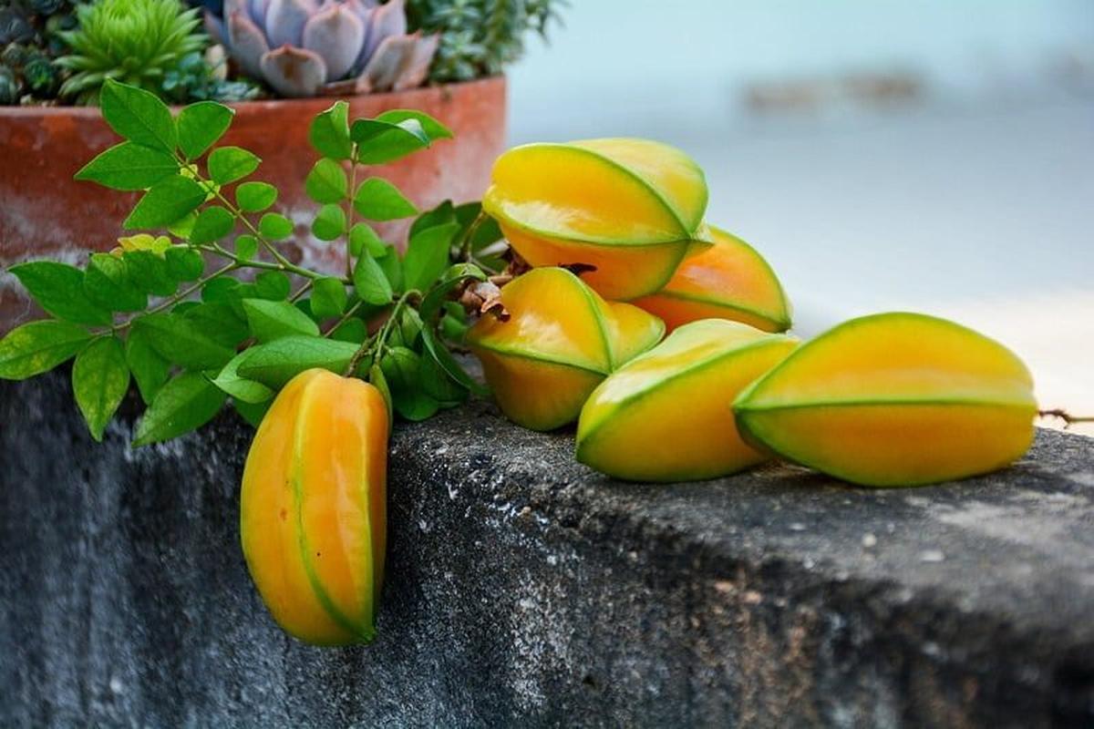 Manfaat Buah Embem