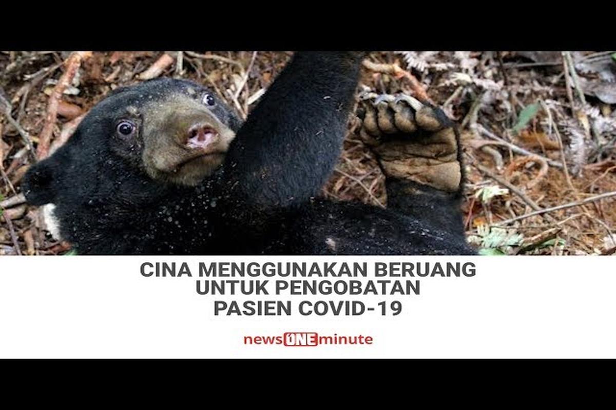 Manfaat Buah Empedu Beruang