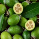 Manfaat Buah Feijoa