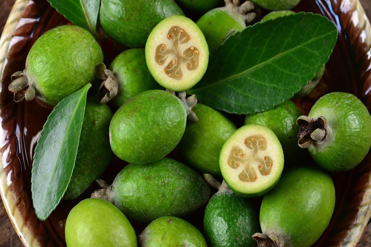 Manfaat Buah Feijoa