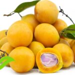 Manfaat Buah Gandaria
