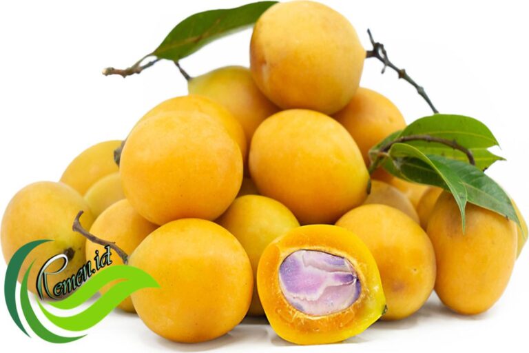 Manfaat Buah Gandaria