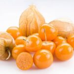 Manfaat Buah Golden Berry