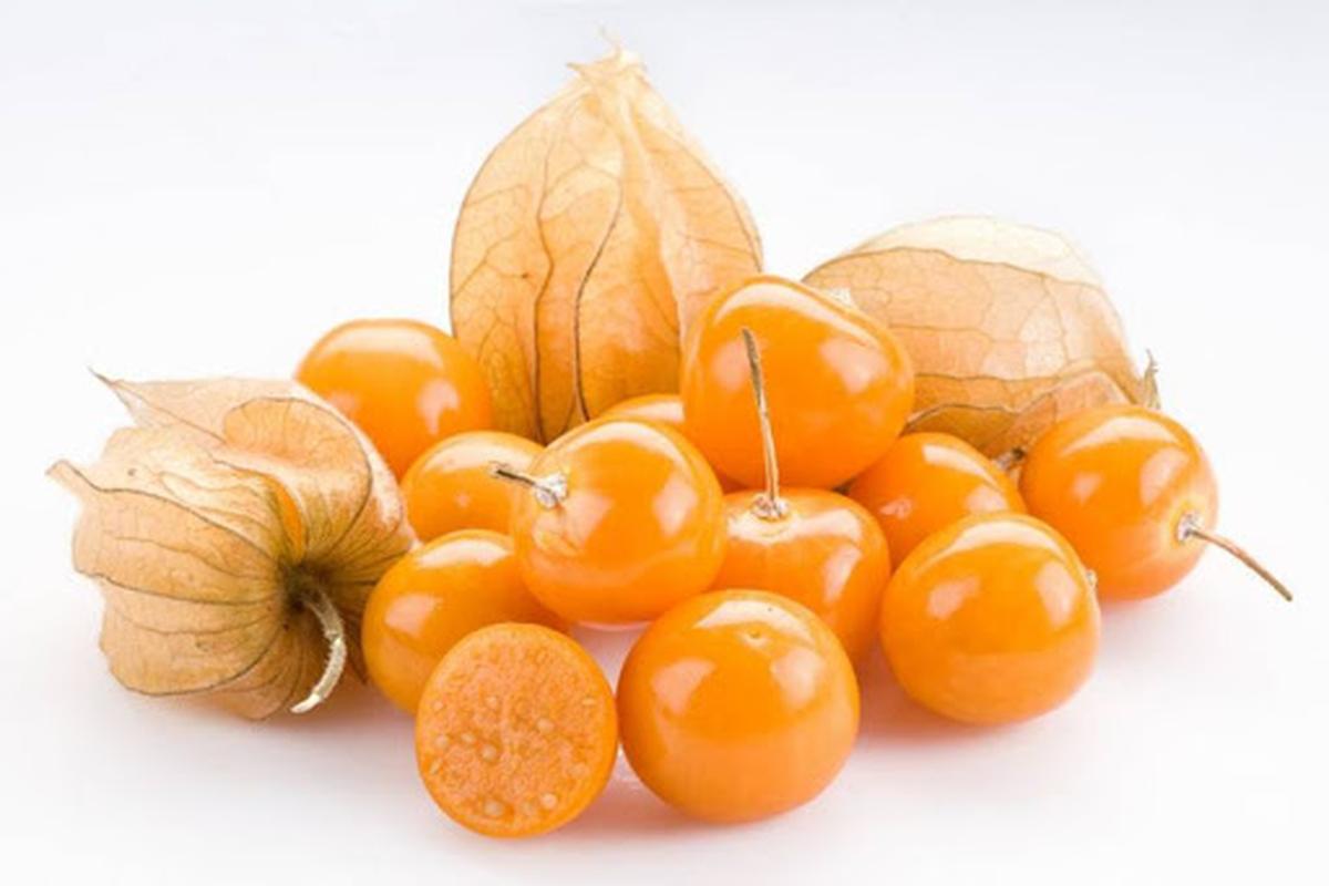 Manfaat Buah Golden Berry