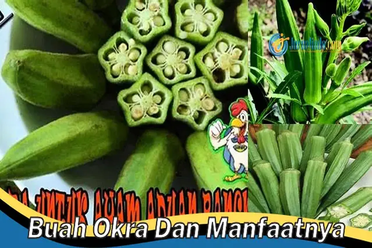 Manfaat Buah Gora