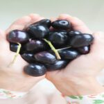 Manfaat Buah Jamblang Bagi Kesehatan