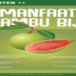 Manfaat Buah Jambu Biji