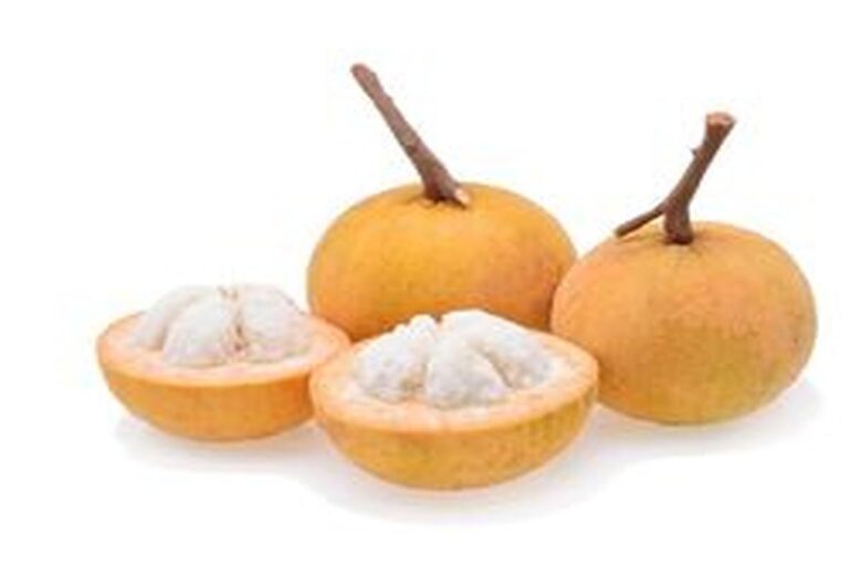 Manfaat Buah Kecapi
