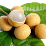 Manfaat Buah Kelengkeng
