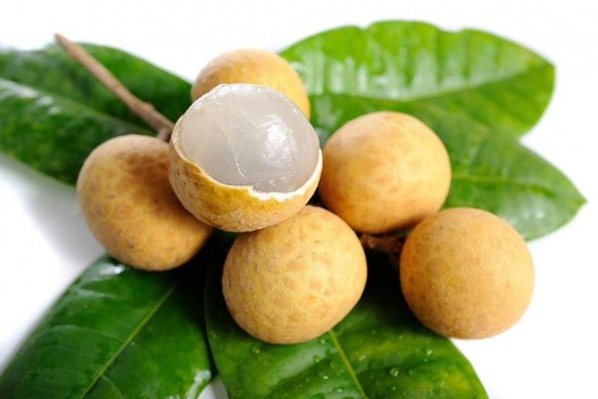 Manfaat Buah Kelengkeng