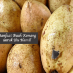 Manfaat Buah Kemang