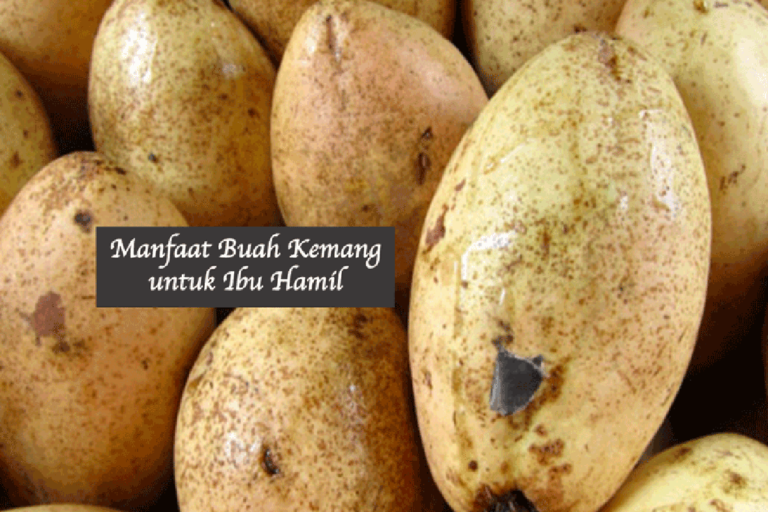 Manfaat Buah Kemang