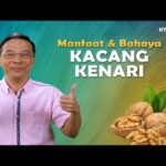 Manfaat Buah Kenari