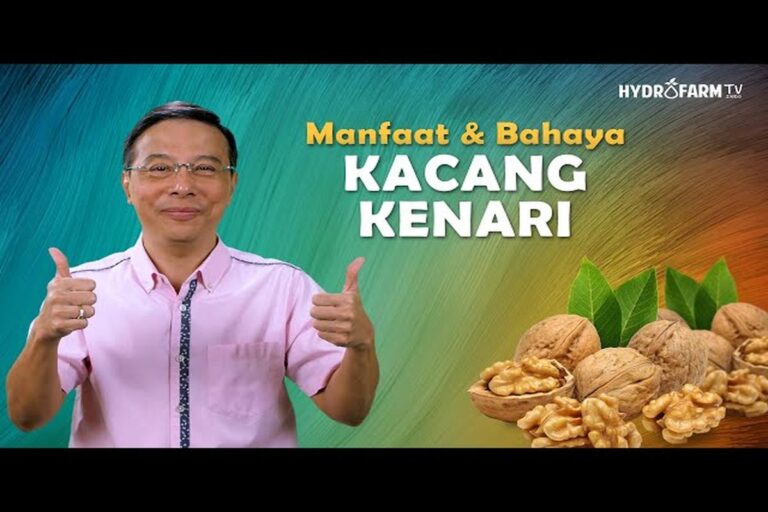 Manfaat Buah Kenari