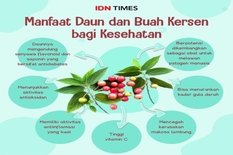Manfaat Buah Kersen