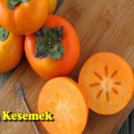 Manfaat Buah Kesemek Hijau