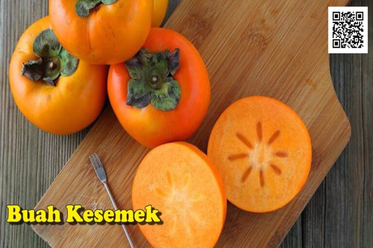 Manfaat Buah Kesemek Hijau